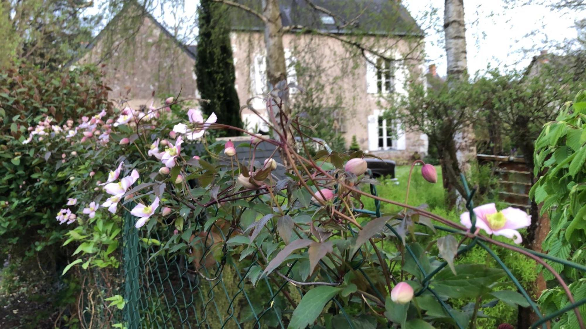 Bed and Breakfast La Thibautiere à Blaison-Gohier Extérieur photo